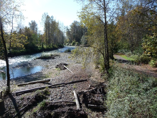 Tolt river logs